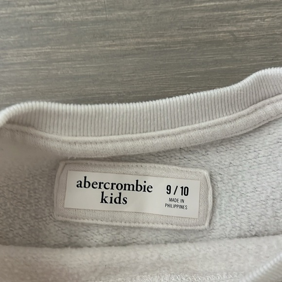Abercrombie Kids Color Block Crewneck Sweatshirt - Picture 2 of 4